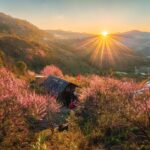 Tour Nha Trang Đà Lạt 5 ngày 4 đêm (Hà Nội Nha Trang Đà Lạt Hà Nội): Lịch trình, điểm nổi bật, giá bán, kinh nghiệm, đơn vị uy tín giá rẻ