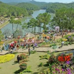 Tour Nha Trang Đà Lạt 5 ngày 4 đêm (Hà Nội Nha Trang Đà Lạt Hà Nội): Lịch trình, điểm nổi bật, giá bán, kinh nghiệm, đơn vị uy tín giá rẻ