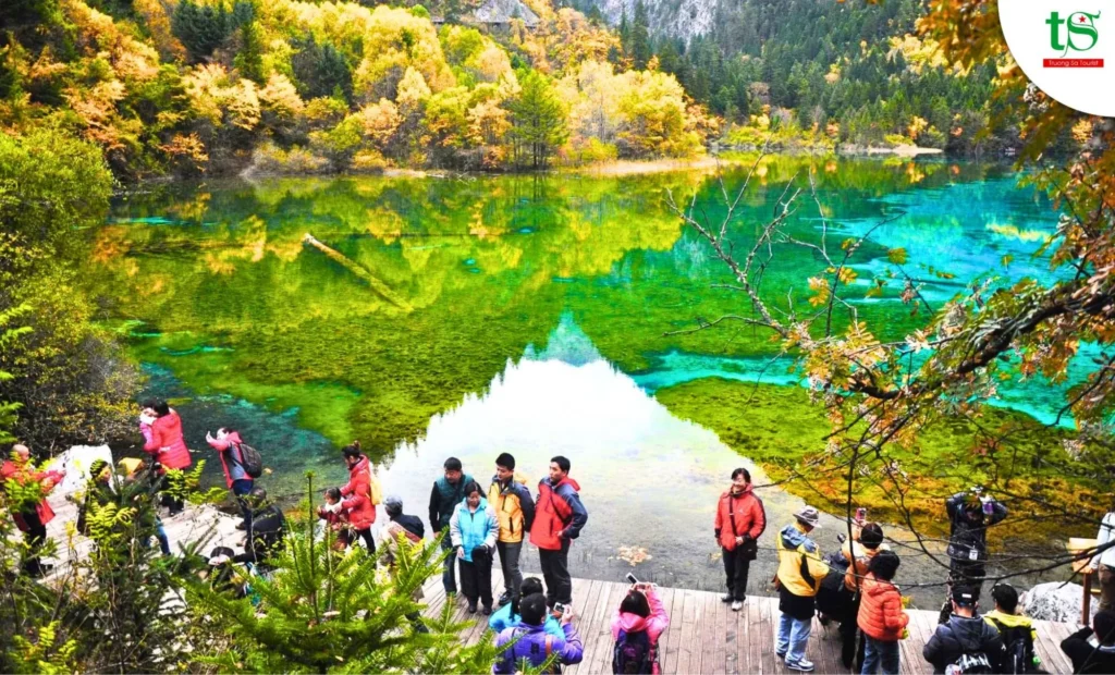 Tour Cửu Trại Câu