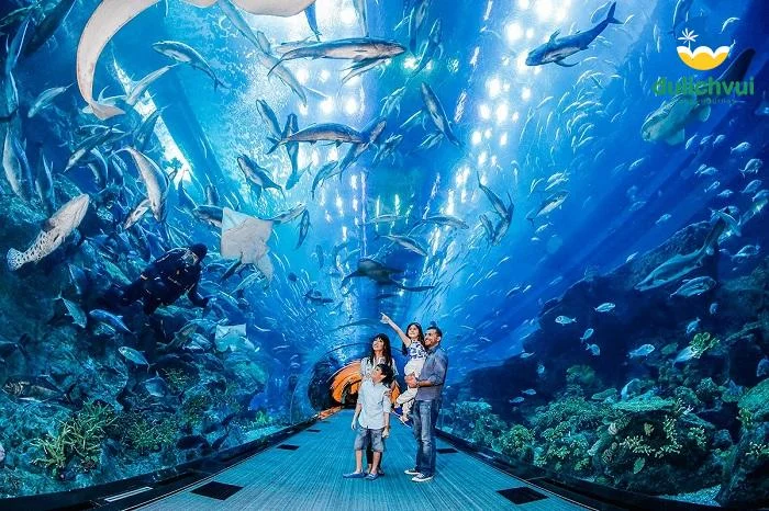 Tour Nha Trang Đà Lạt 5 ngày 4 đêm (Hà Nội Nha Trang Đà Lạt Hà Nội): Lịch trình, điểm nổi bật, giá bán, kinh nghiệm, đơn vị uy tín giá rẻ