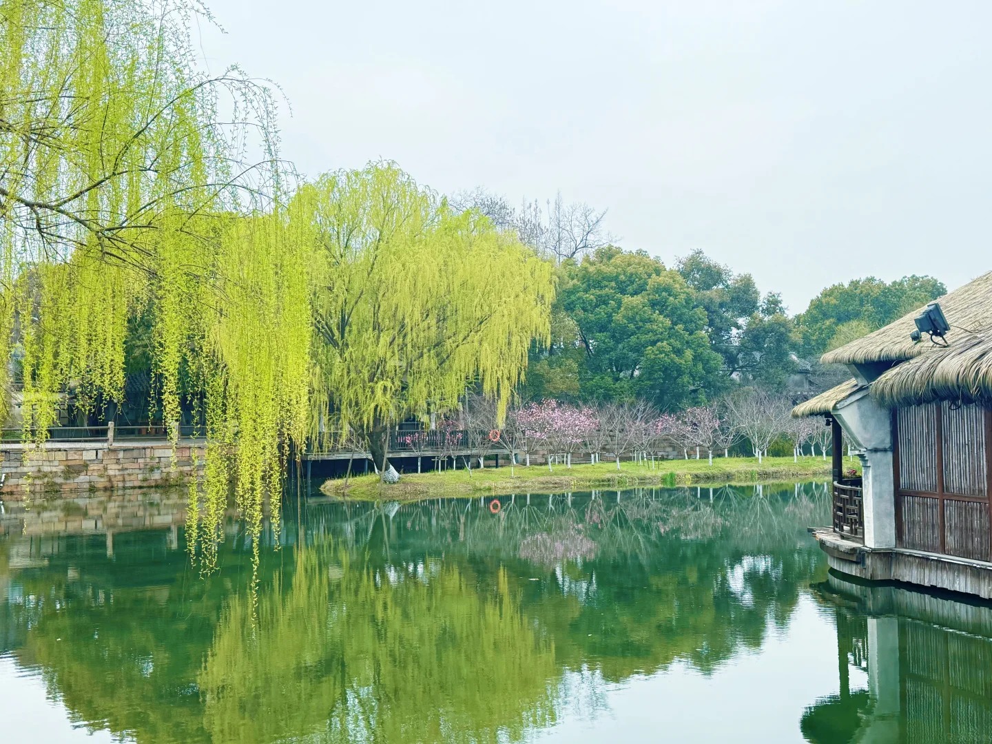 Thuong-Hai-Hang-Chau-O-Tran-5n4d